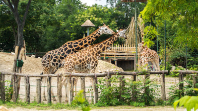 Budapest Zoo & Botanical Garden